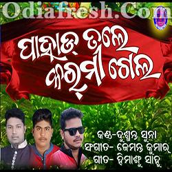 Pahad Tale Karmi Gela (Dusmanta Suna) Sambalpuri Song